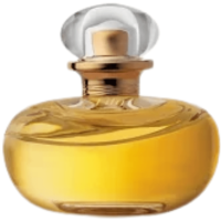 lilyleparfum