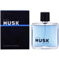 musk2